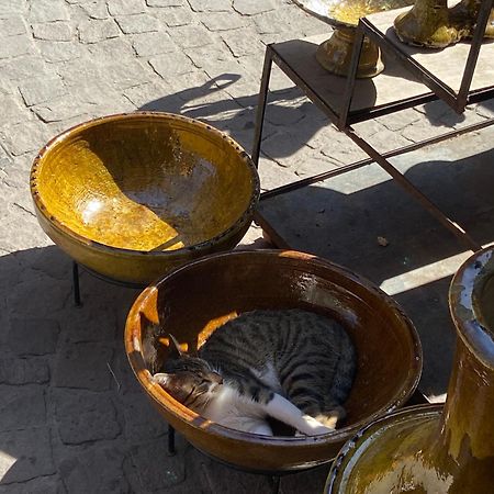 Villa Louisa Piscine Privee Sans Vis A Vis Dyar Shemsi Taroudant Bagian luar foto