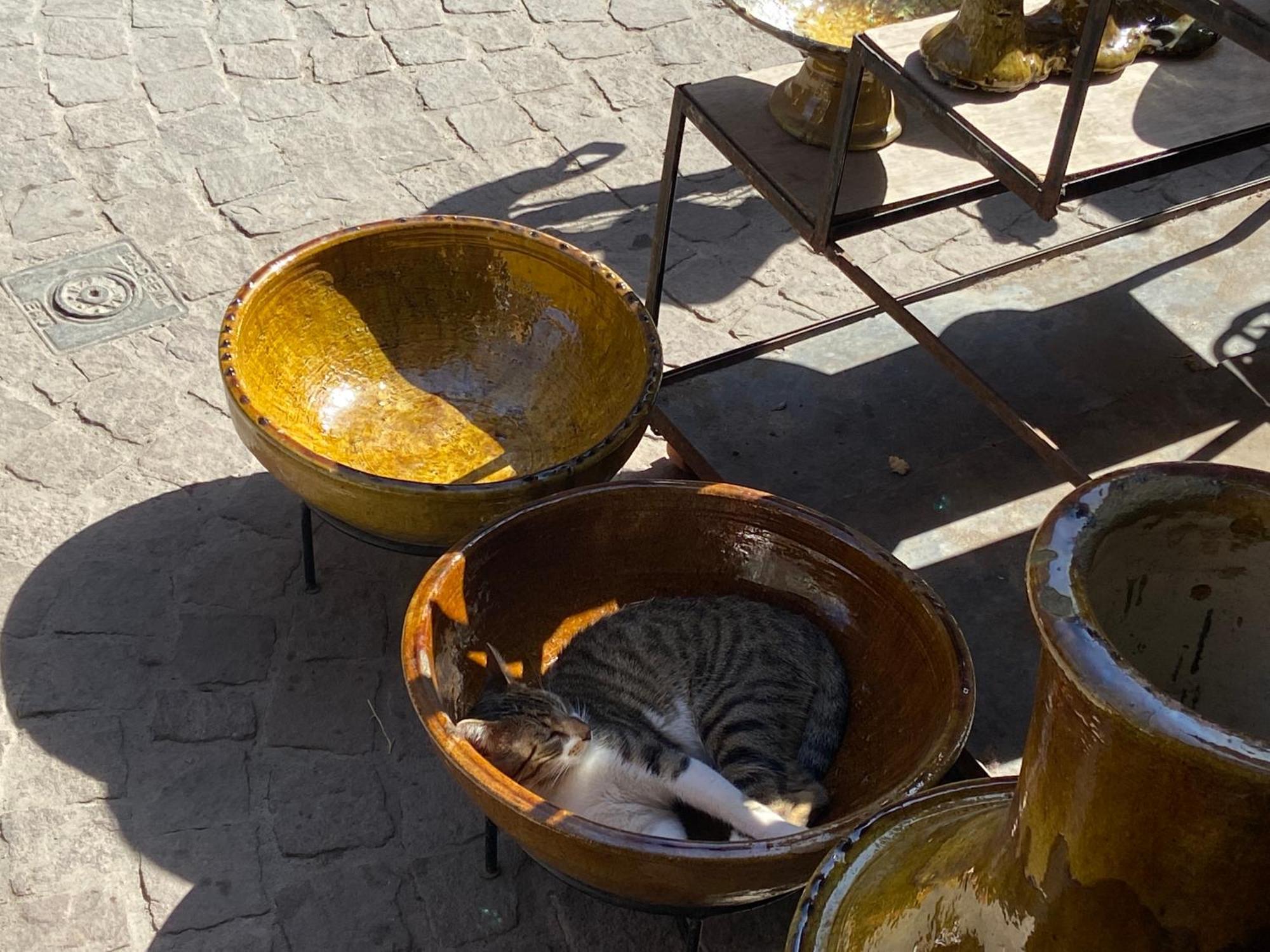 Villa Louisa Piscine Privee Sans Vis A Vis Dyar Shemsi Taroudant Bagian luar foto