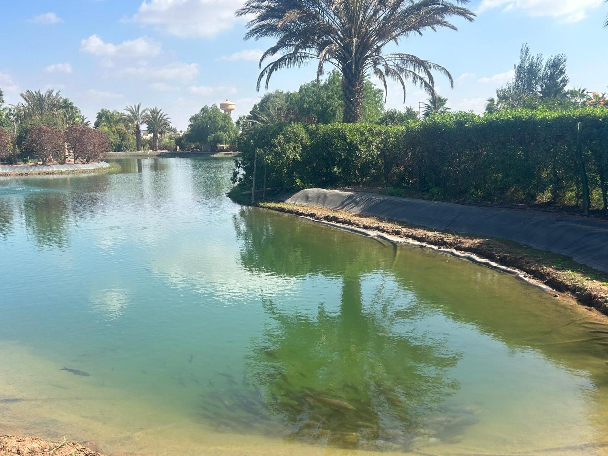 Villa Louisa Piscine Privee Sans Vis A Vis Dyar Shemsi Taroudant Bagian luar foto